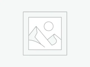 Δείκτης τοποθέτησης